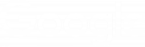 logo-google-blanc